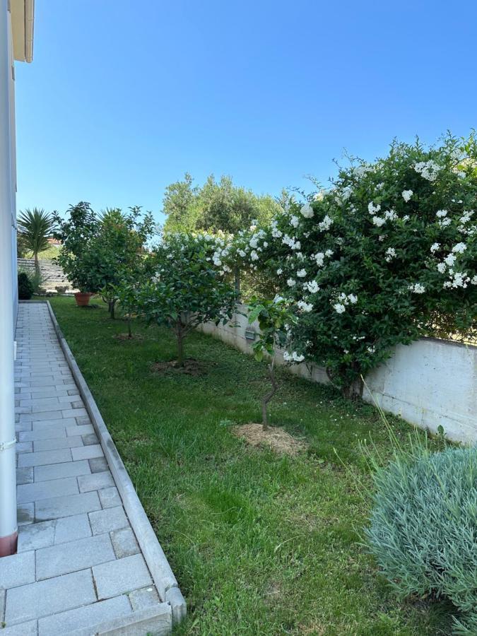Holiday Home Mb Ražanj Eksteriør billede